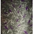 Folia do hydrografiki - Forged carbon 126C